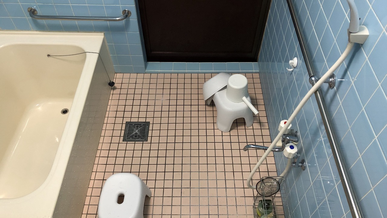 Photo of Bathroom in Hata-gun