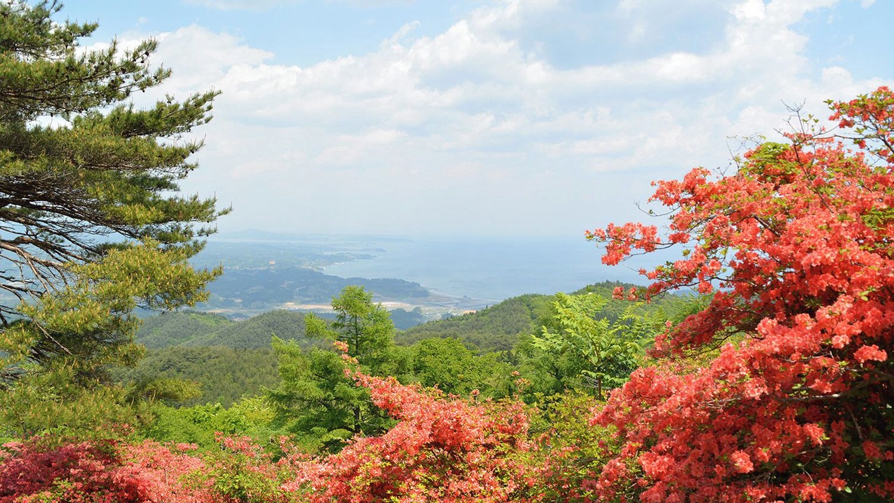 Photo of Others in Shizugawa