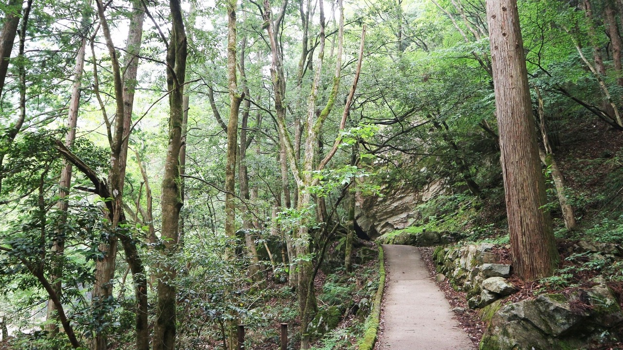 Photo of Others in Ushiobara Onsen