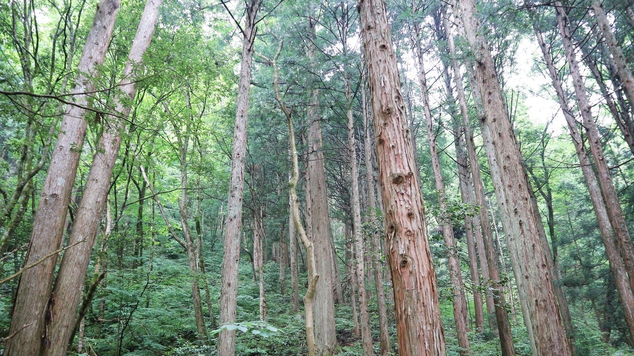 Photo of Others in Ushiobara Onsen