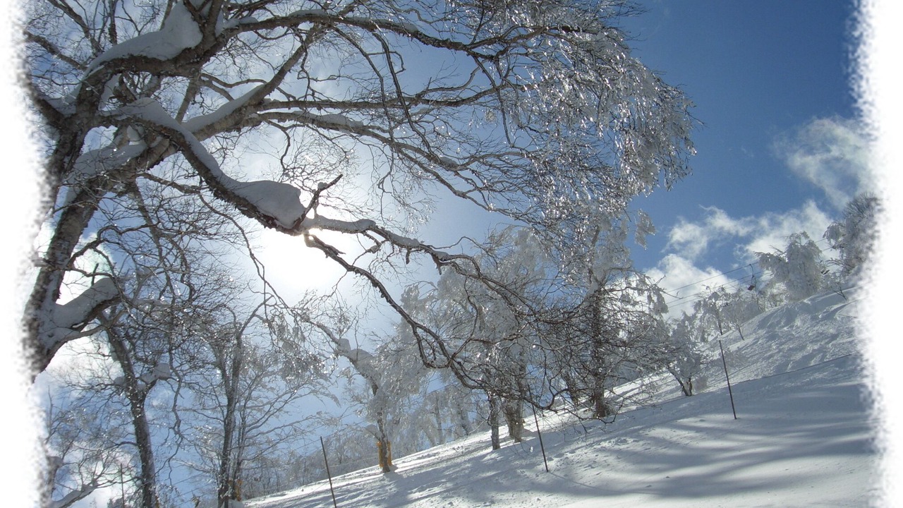 Photo of Others in Ichinohe
