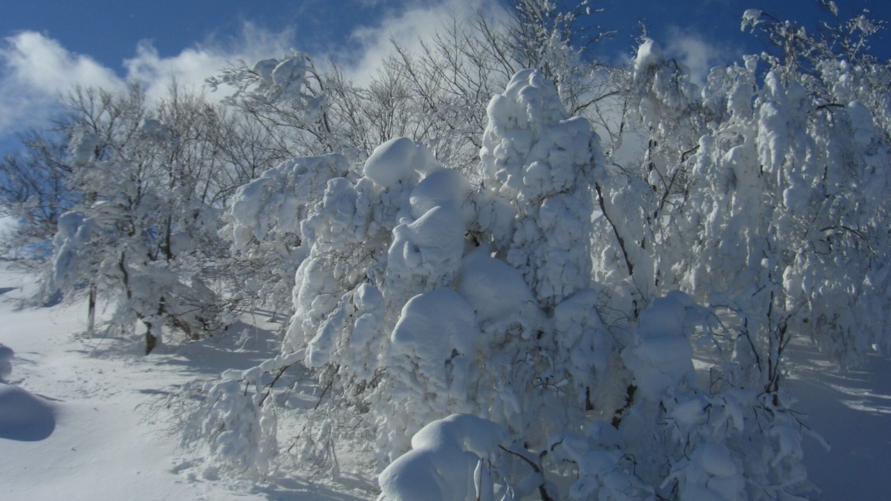 Photo of Others in Ichinohe