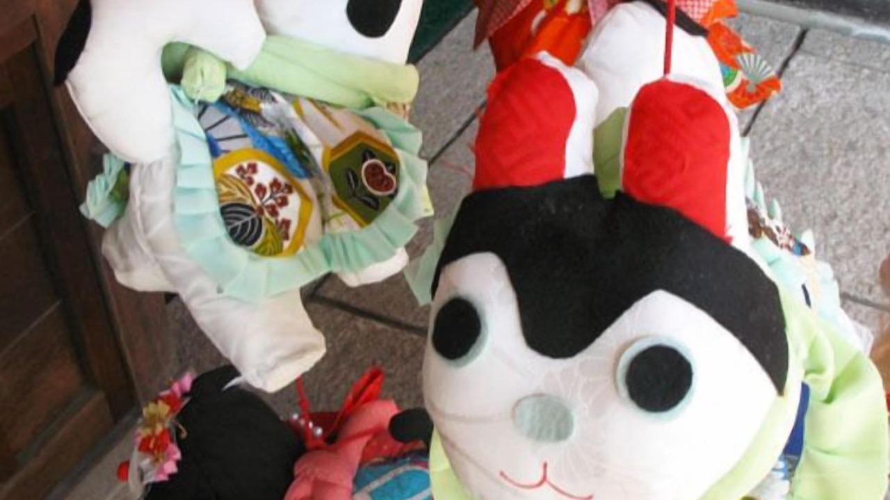 Photo of Others in Yanagawa
