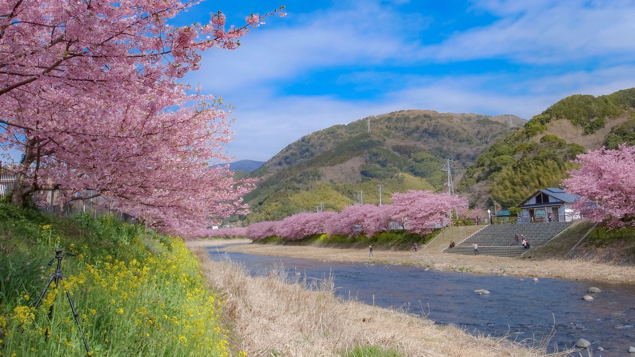 Photo of Others in Futo