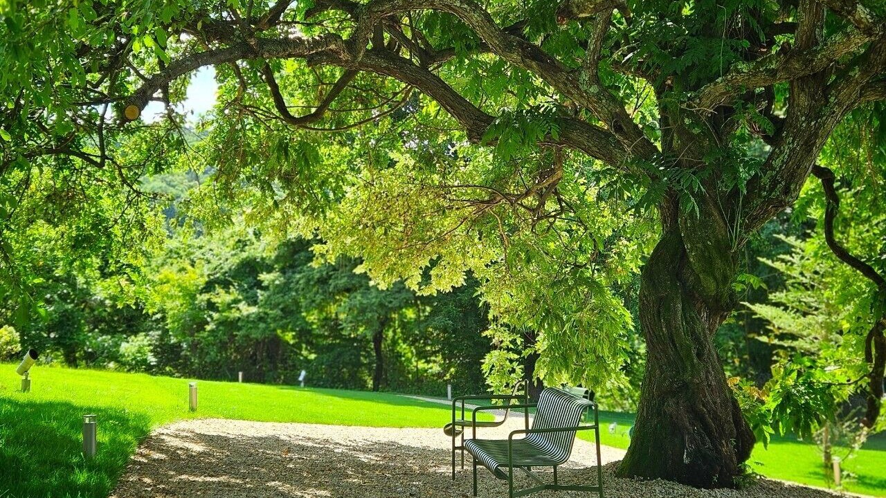 Photo of Outdoor in Chino