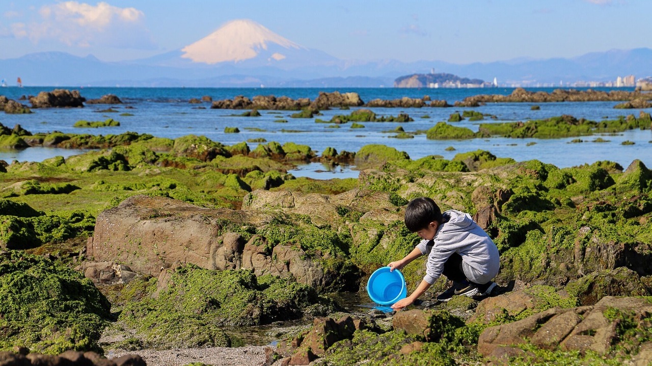 Photo of Others in Hayama