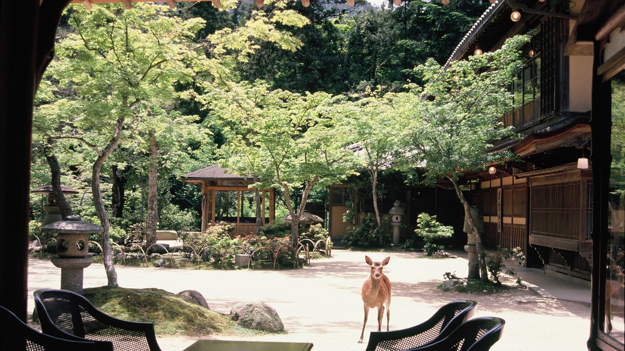 Photo of Outdoor in Itsukushima