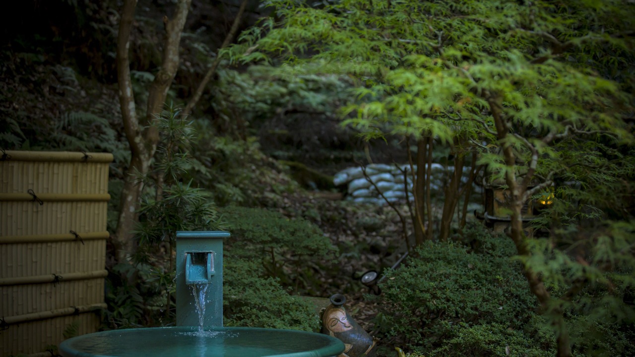 Photo of Others in Amanohashidate