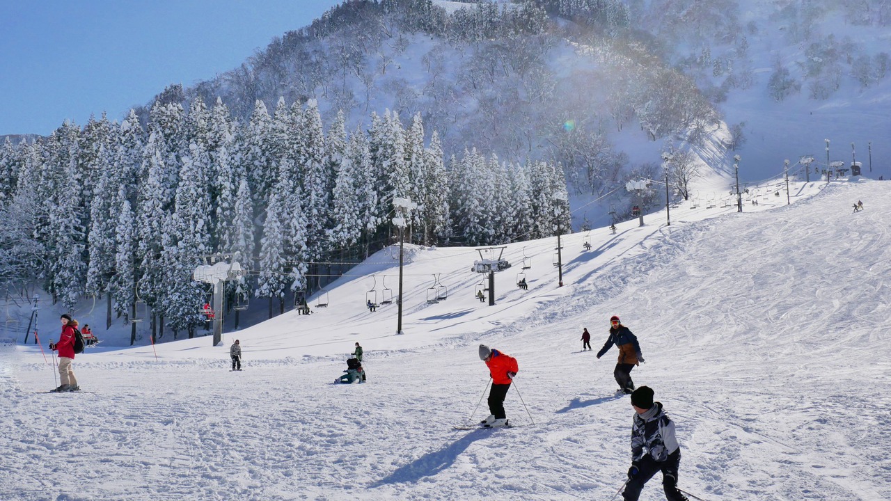 Photo of Others in Hakusan