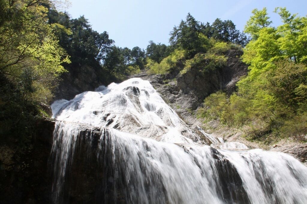 Photo of Others in Hakusan