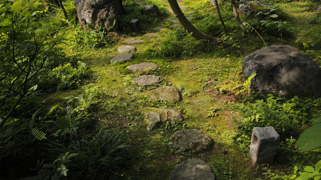 Photo of Outdoor in Hakusan