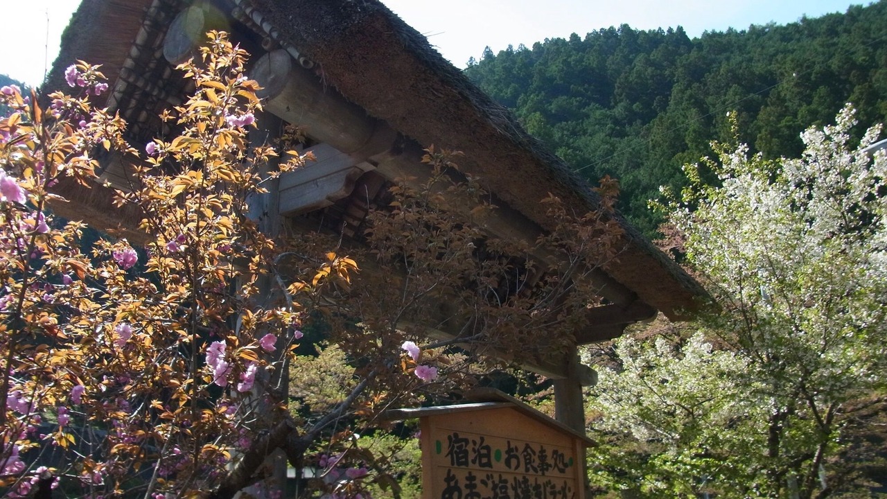 Photo of Others in Ehime Prefecture