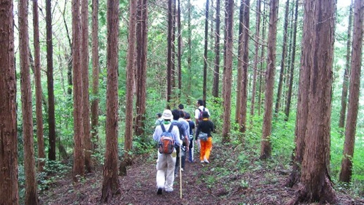 Photo of Others in Ehime Prefecture