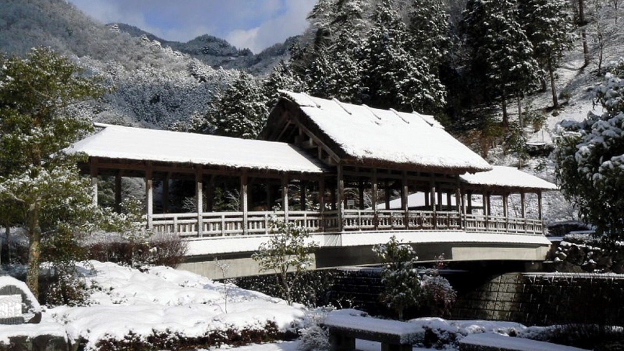 Photo of Outdoor in Ehime Prefecture