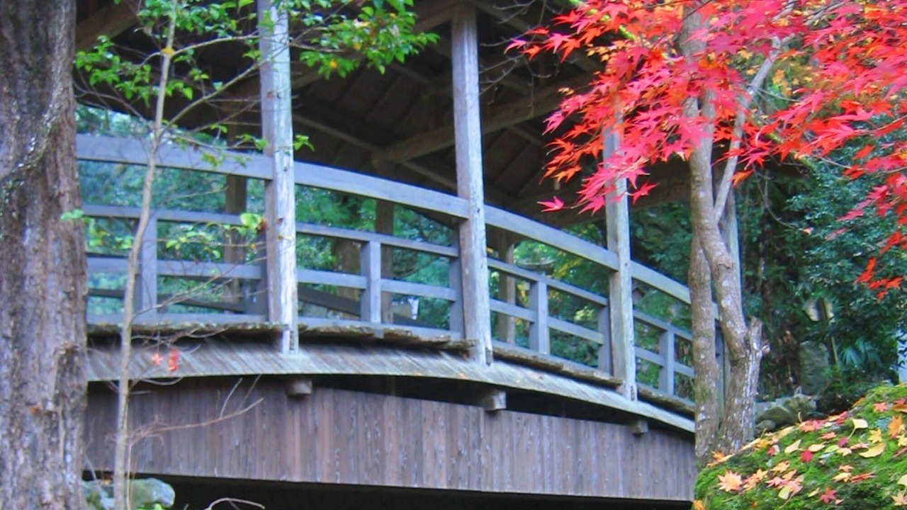 Photo of Outdoor in Ehime Prefecture