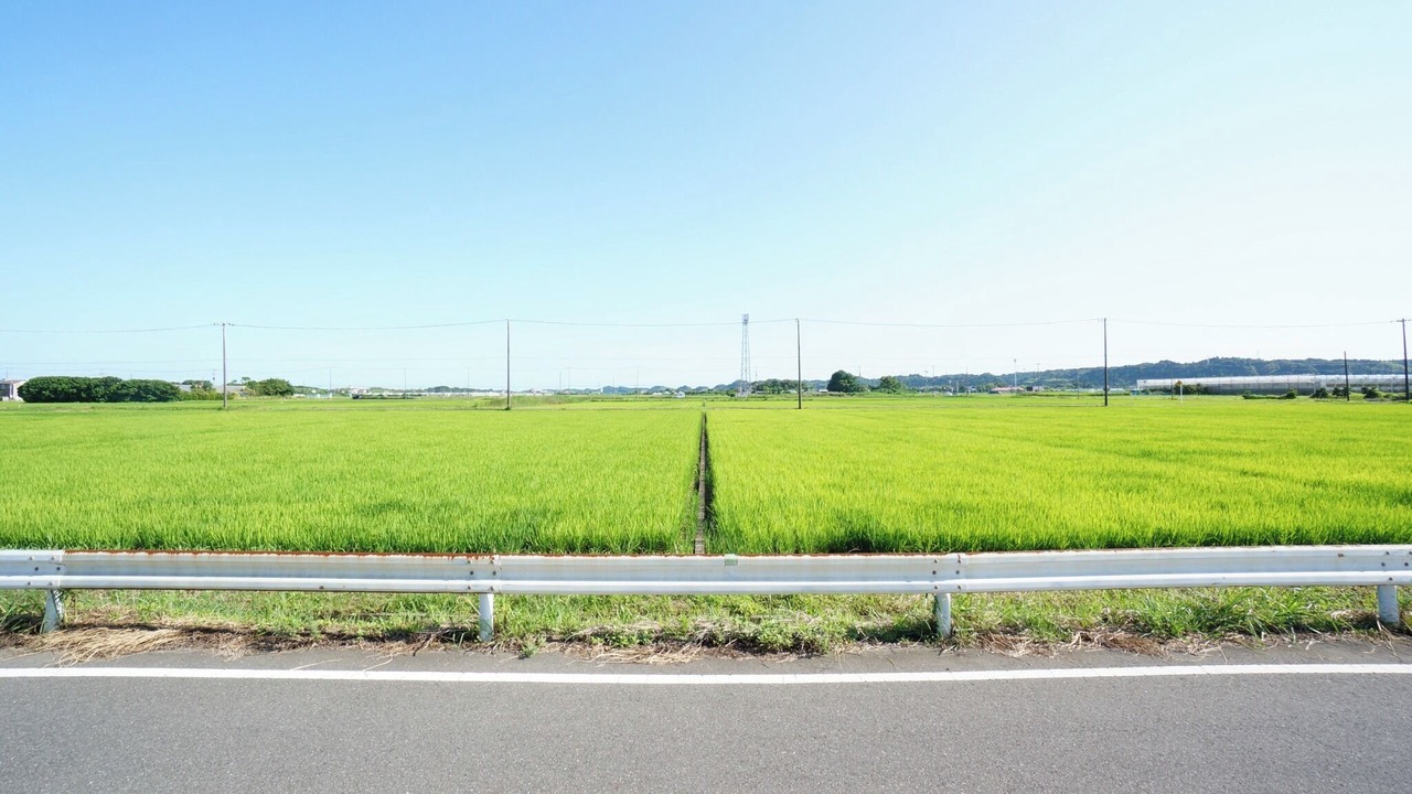 Photo of Outdoor in Ichinomiya