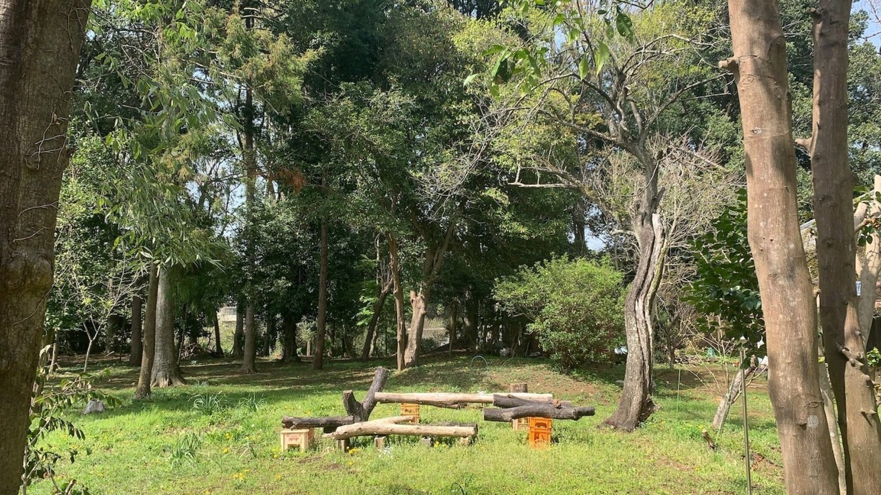 Photo of Outdoor in Yotsukaido