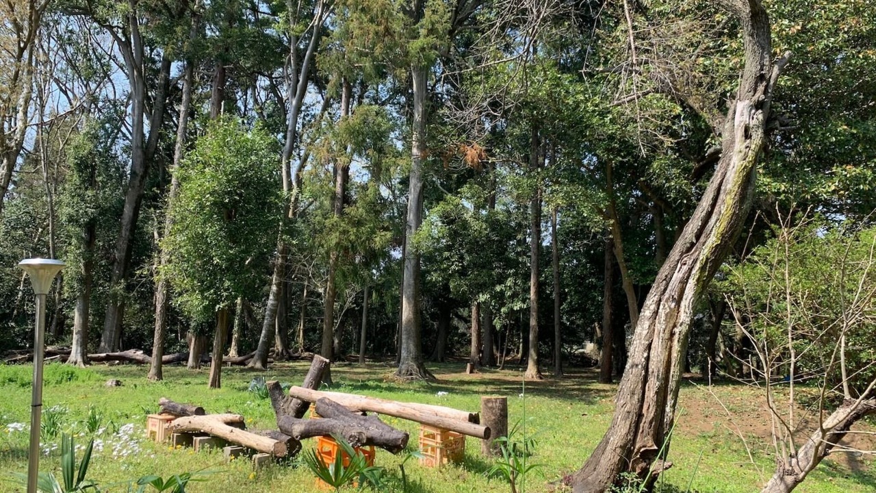 Photo of Outdoor in Yotsukaido
