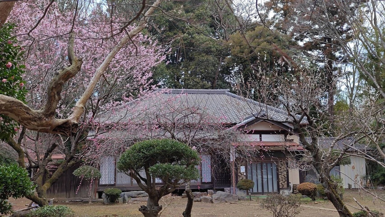 Photo of Buildings in Yotsukaido
