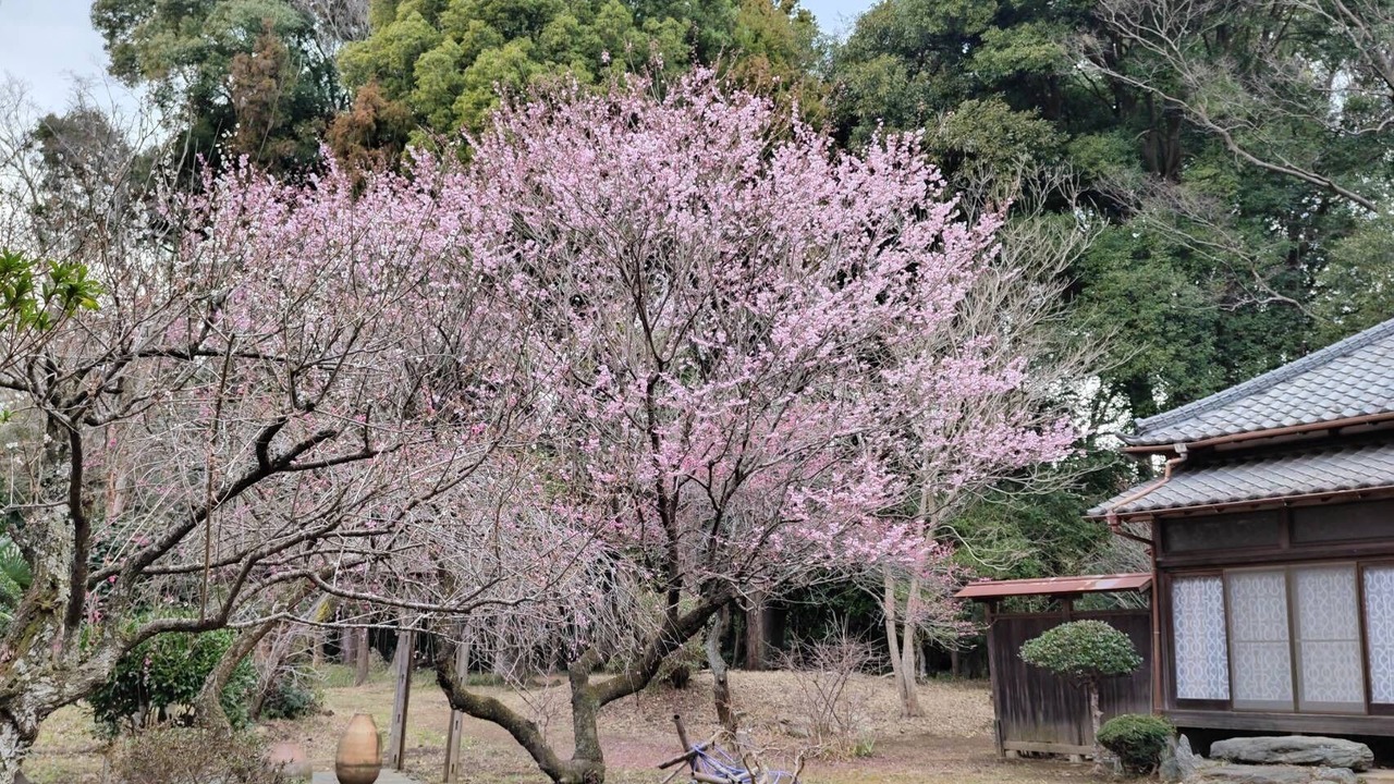 Photo of Outdoor in Yotsukaido