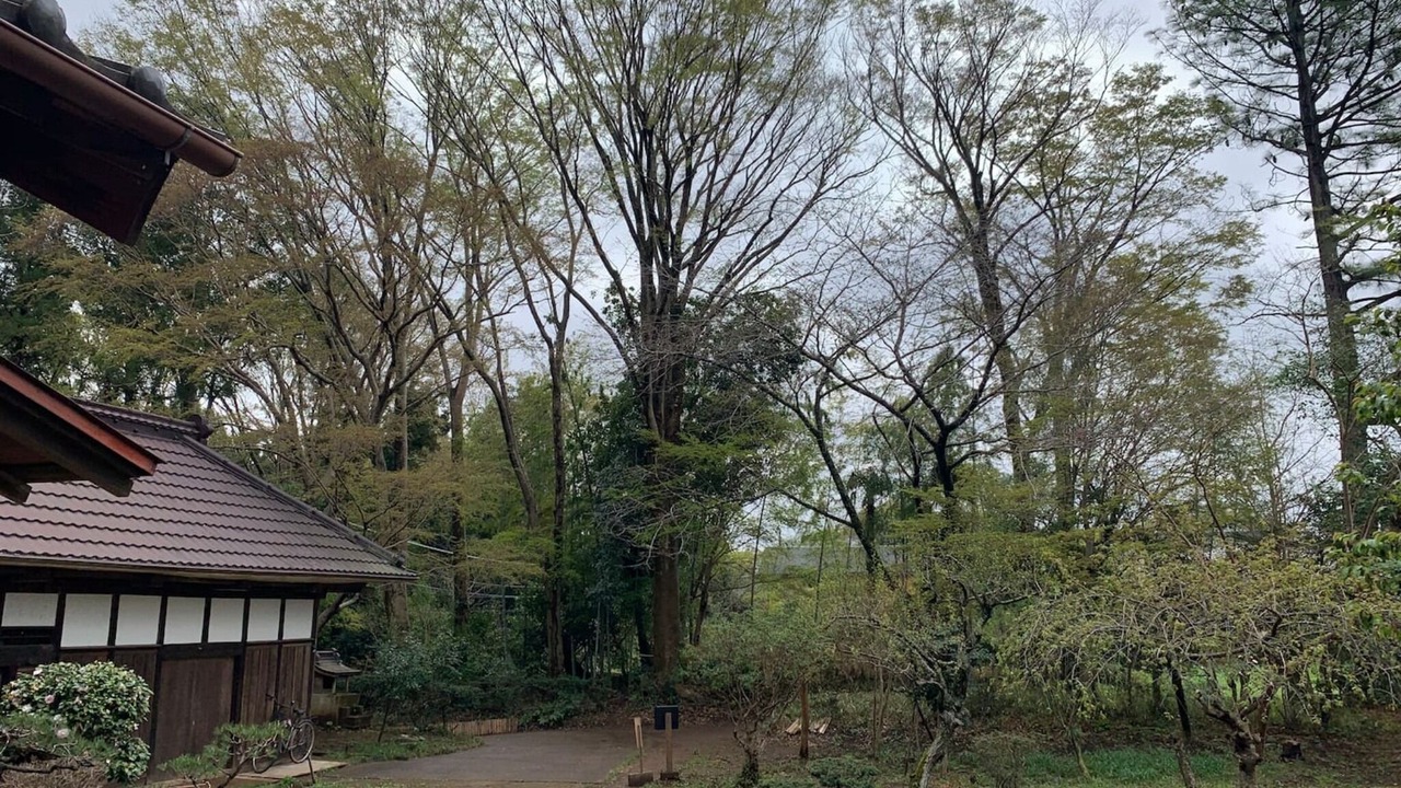 Photo of Outdoor in Yotsukaido