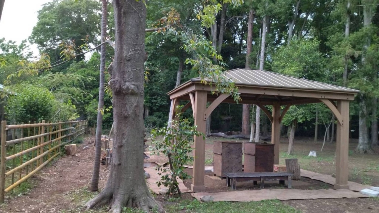 Photo of Outdoor in Yotsukaido