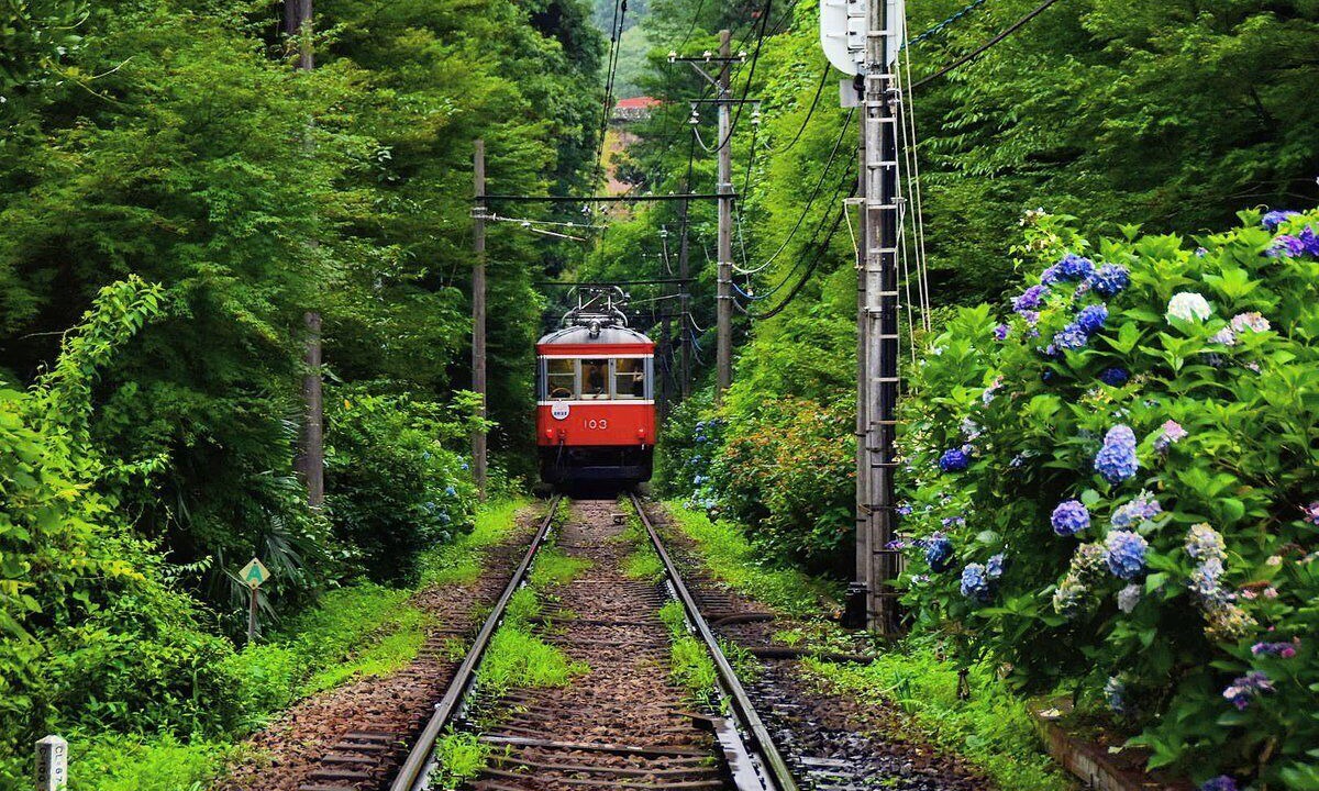 Photo of Others in Hakone