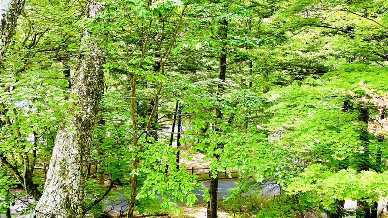 Photo of Outdoor in Nikko