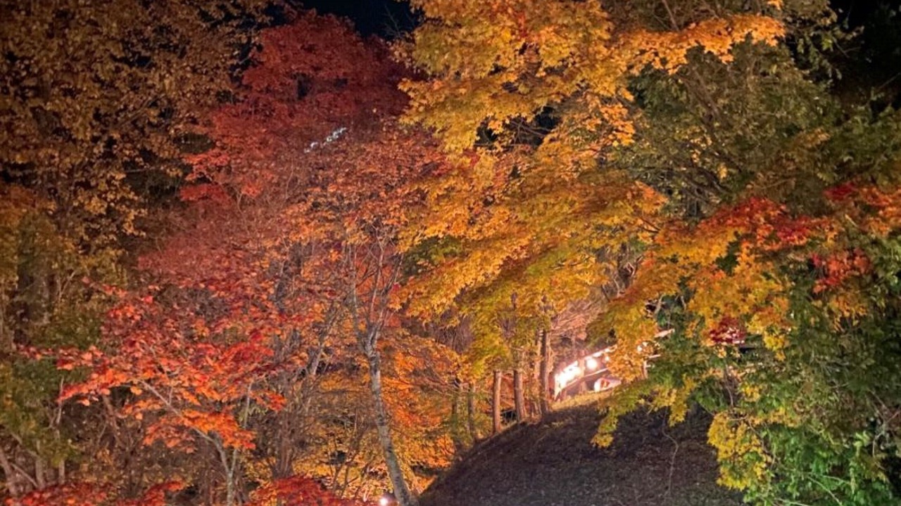 Photo of Outdoor in Nikko