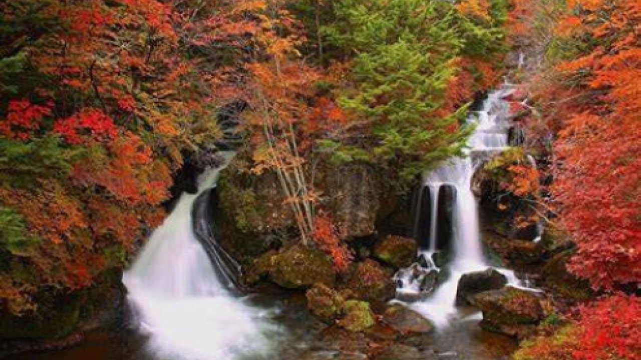 Photo of Others in Nikko