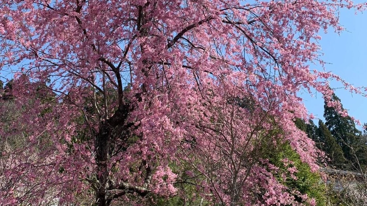 Photo of Outdoor in Togakushi