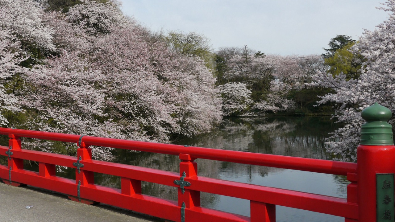 Photo of Others in Takaoka