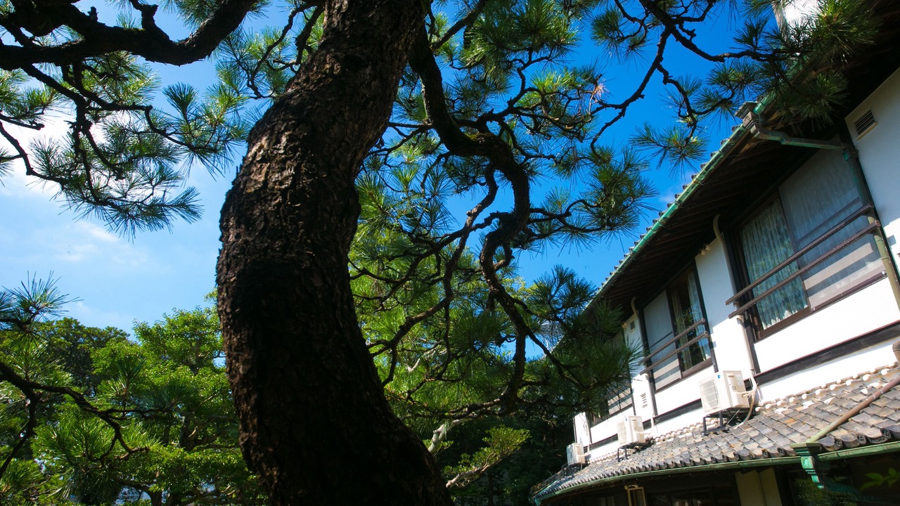 Photo of Outdoor in Karatsu