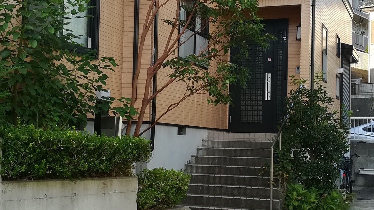 Photo of Outdoor in Sakura