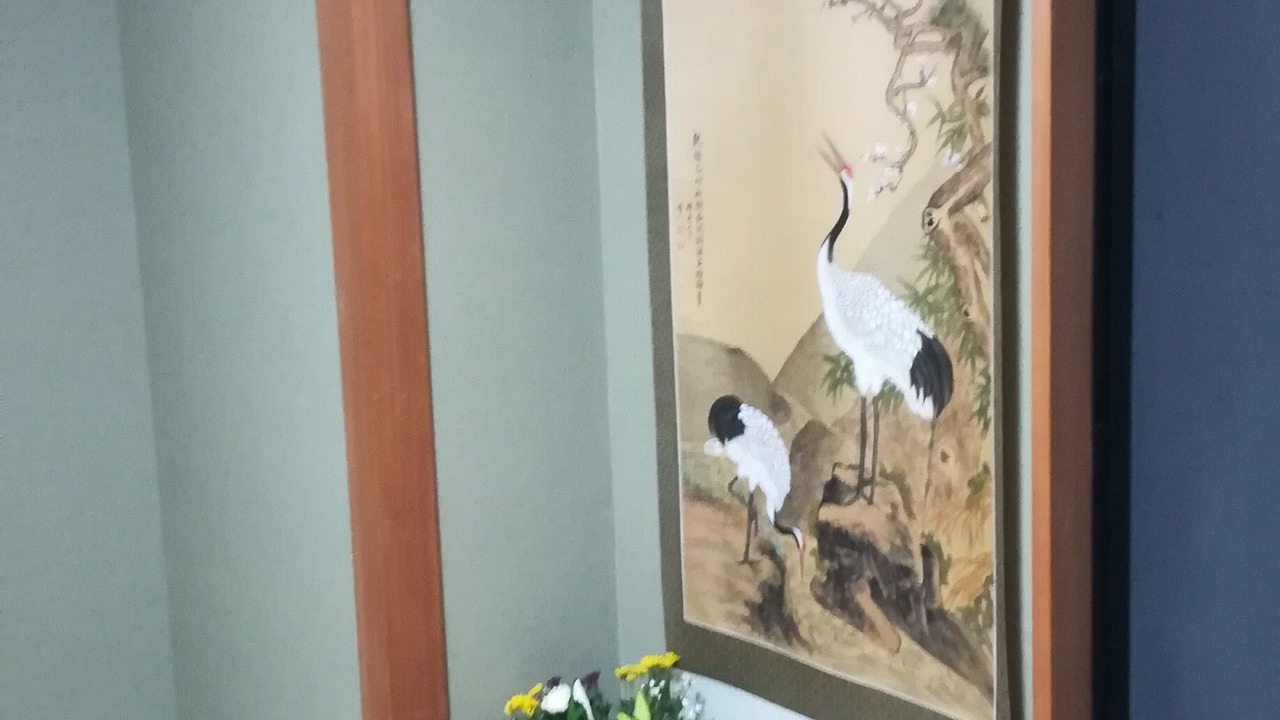 Photo of Others in Sakura