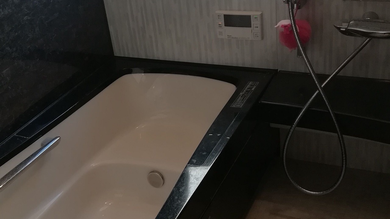 Photo of Bathroom in Sakura