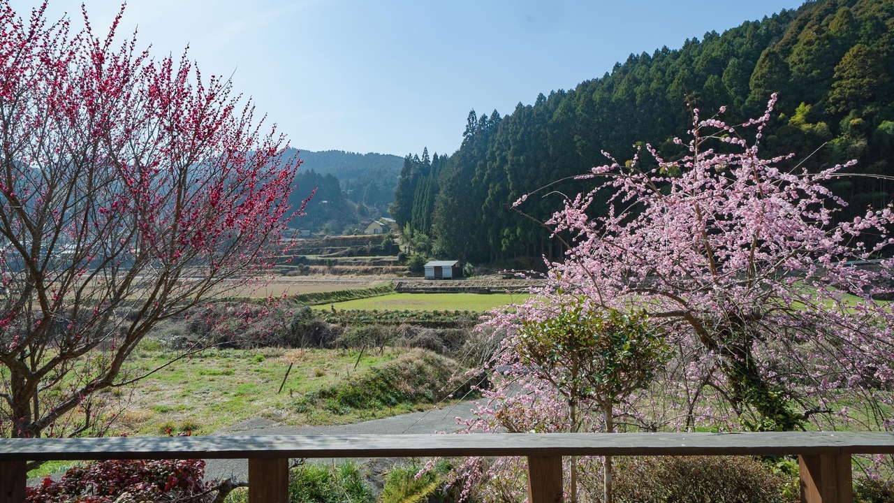 Photo of Bedroom in Ukiha