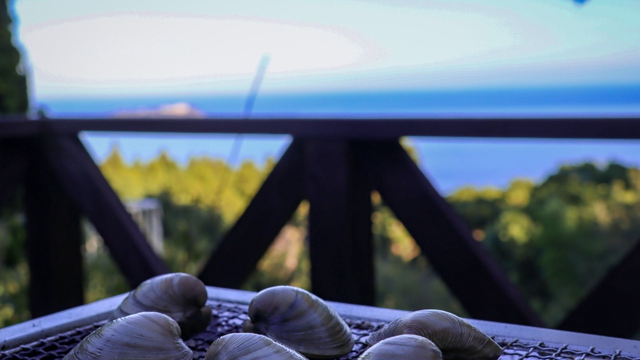 Photo of Patio Balcony in Ajiro