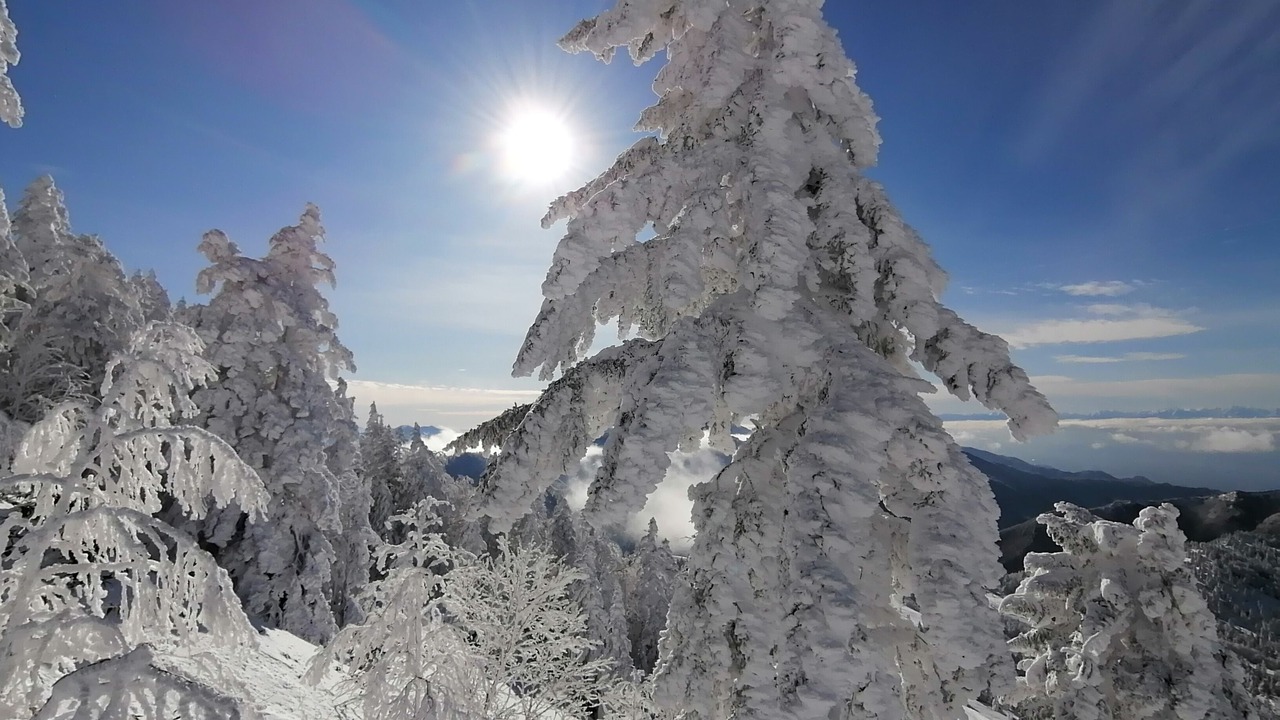 Photo of Others in Shiga Highlands
