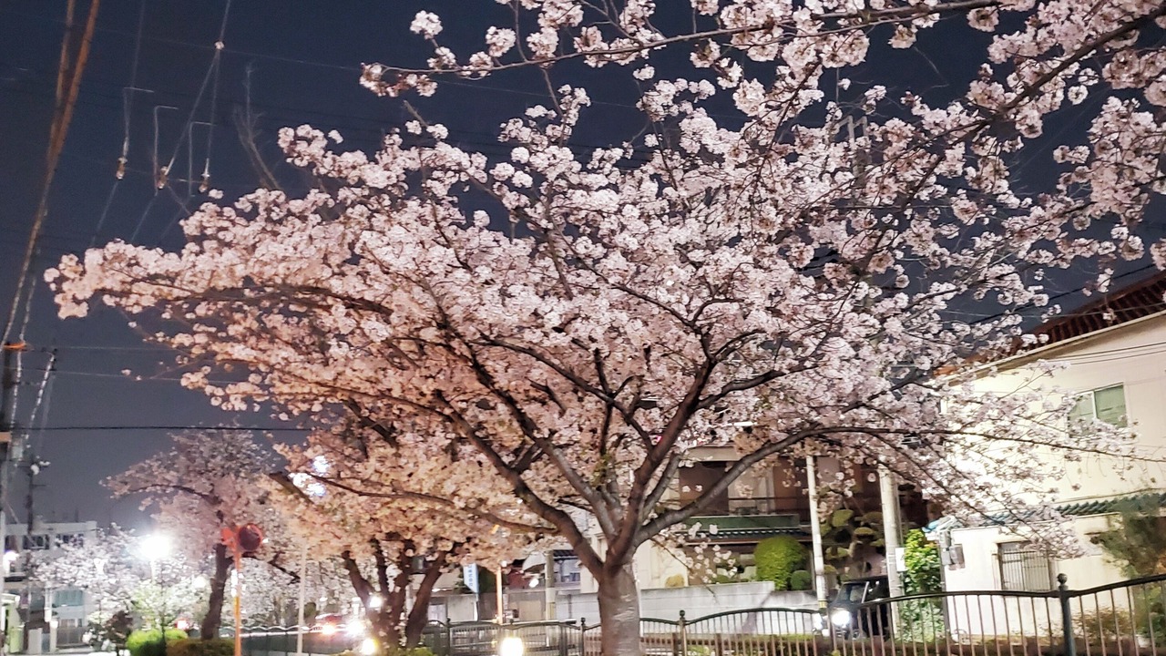 Photo of Others in Higashi-osaka