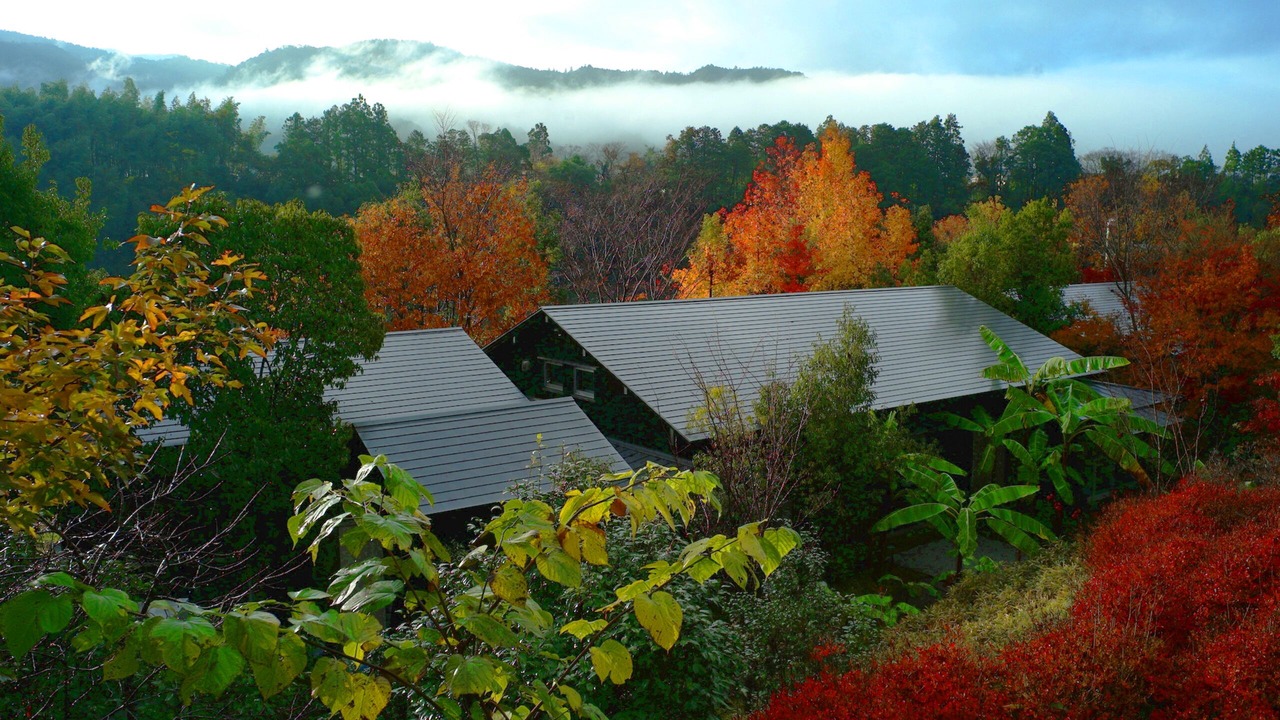 Photo of Outdoor in Kami