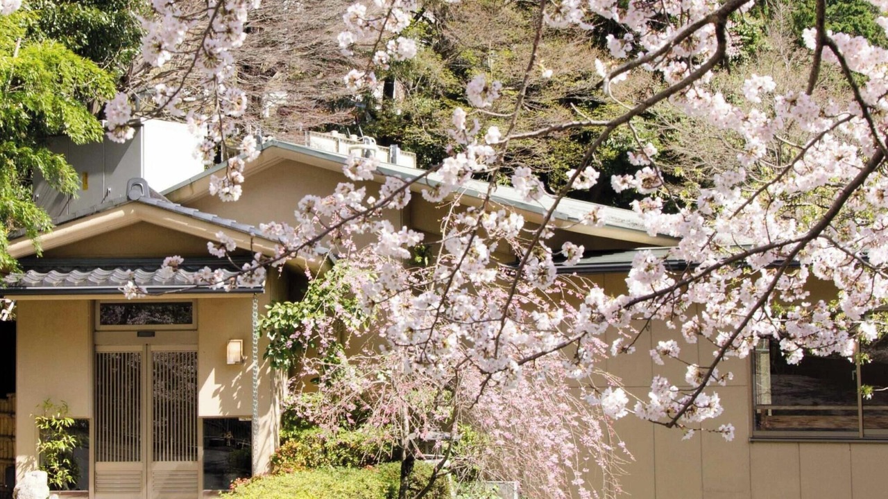 Photo of Outdoor in Yoro