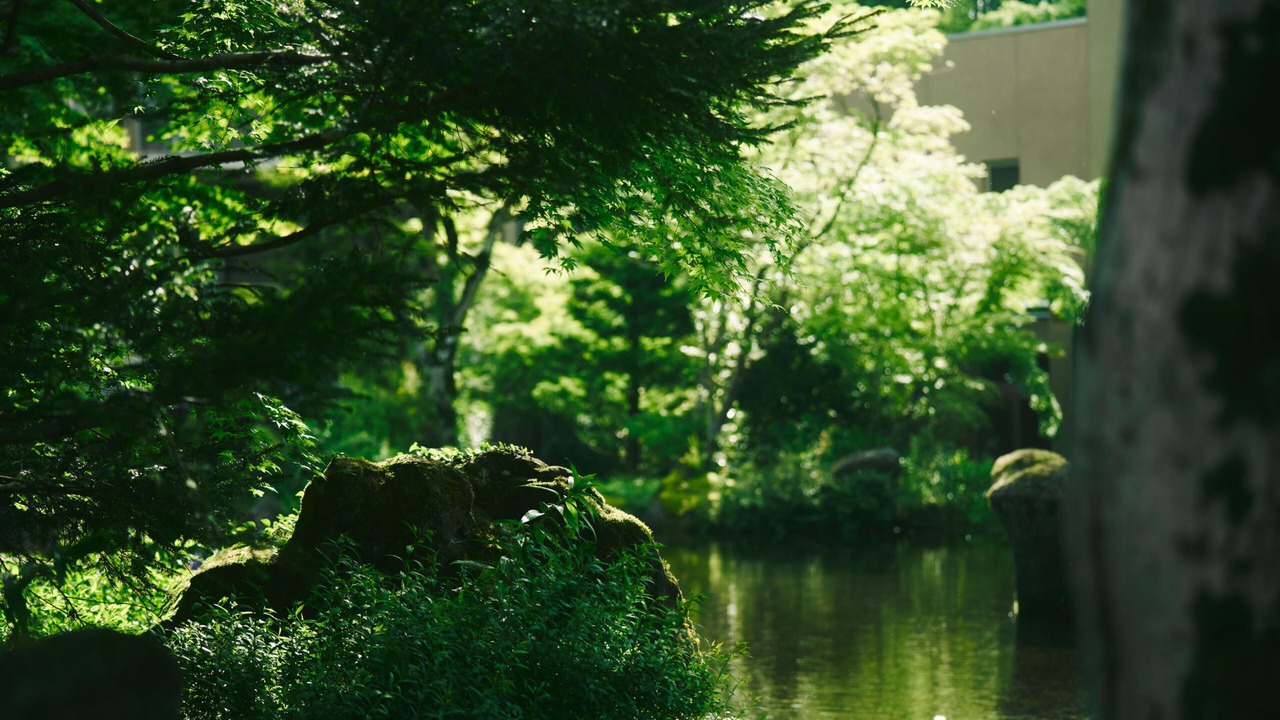 Photo of Outdoor in Hakone