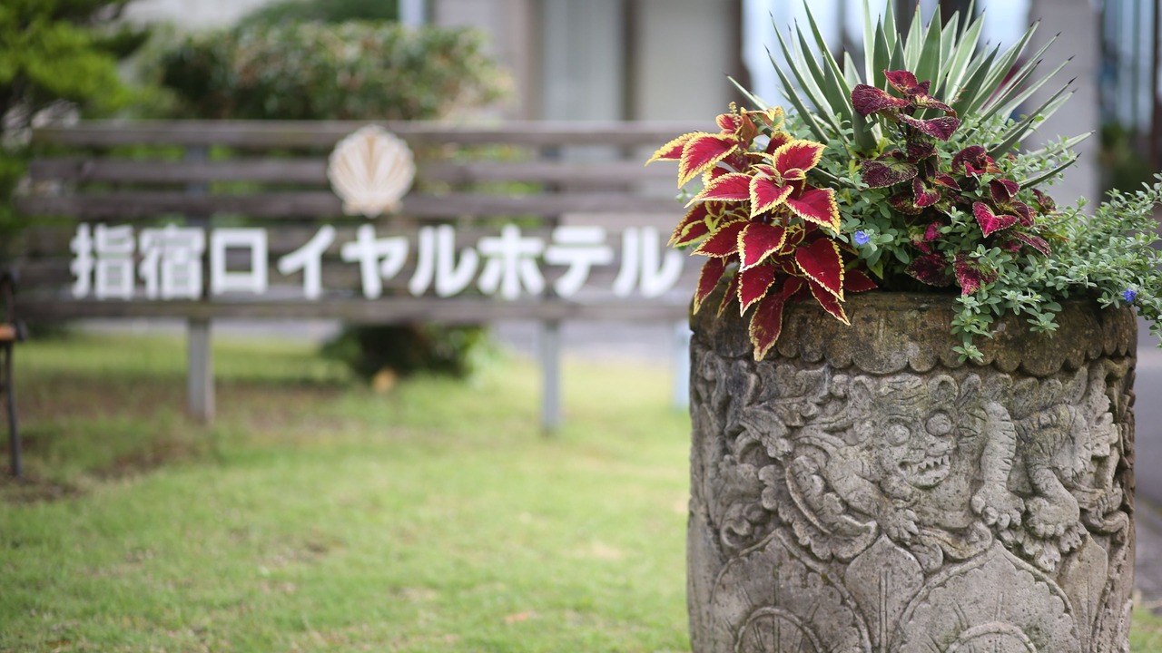 Photo of Outdoor in Ibusuki