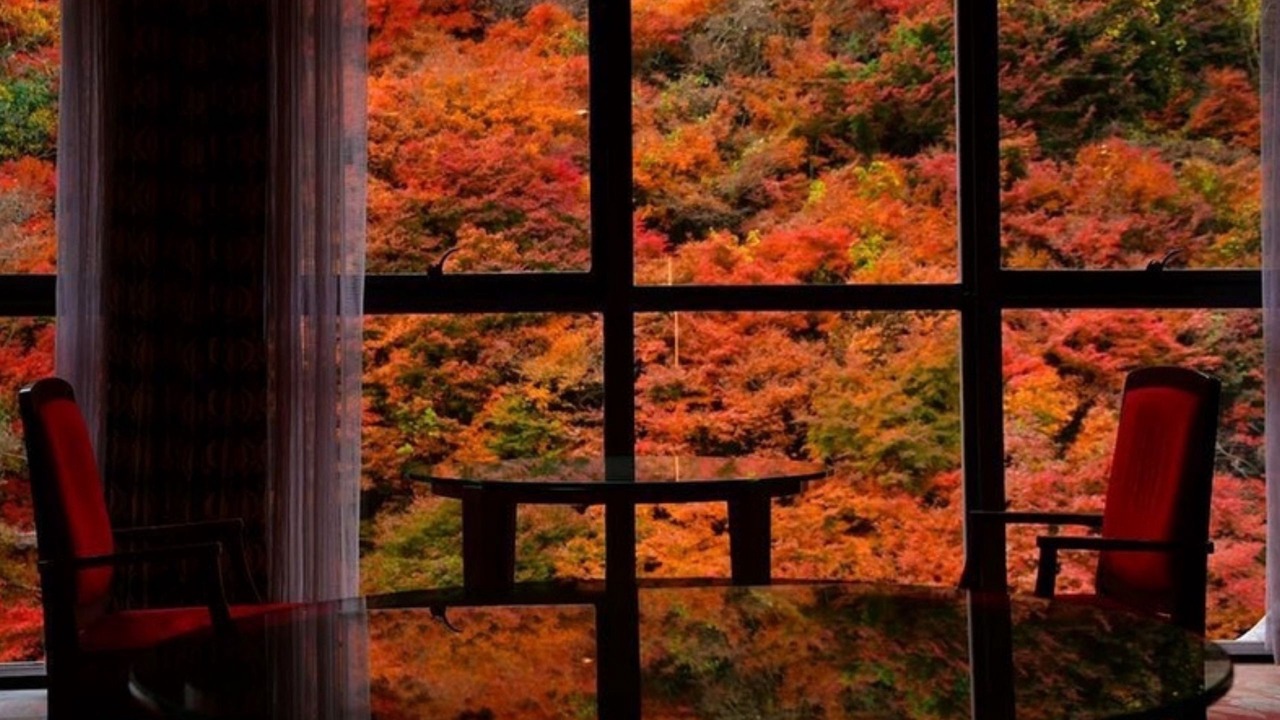 Photo of Others in Matsuyama