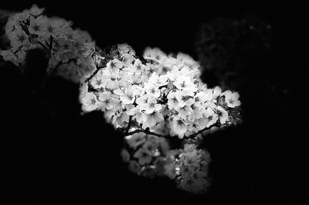 Photo of Others in Minamiaoyama
