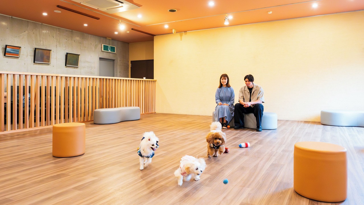 Photo of Others in Beppu