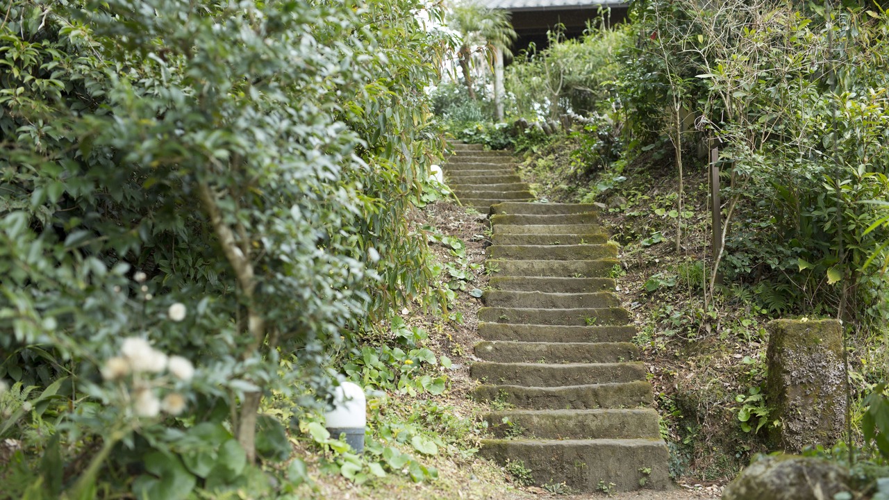 Photo of Others in Ibusuki