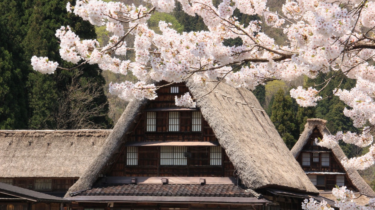 Photo of Others in Nanto