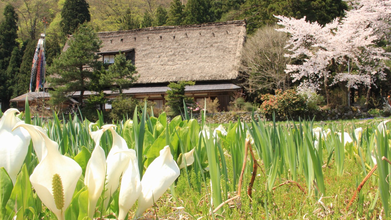 Photo of Bedroom in Nanto